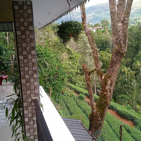 Green Tea View Munnar Extérieur photo
