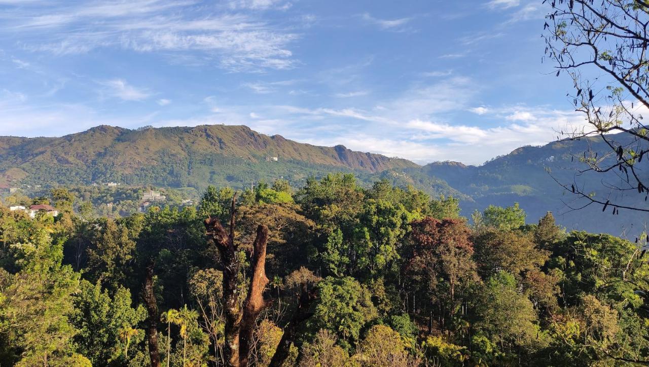 Green Tea View Munnar Extérieur photo
