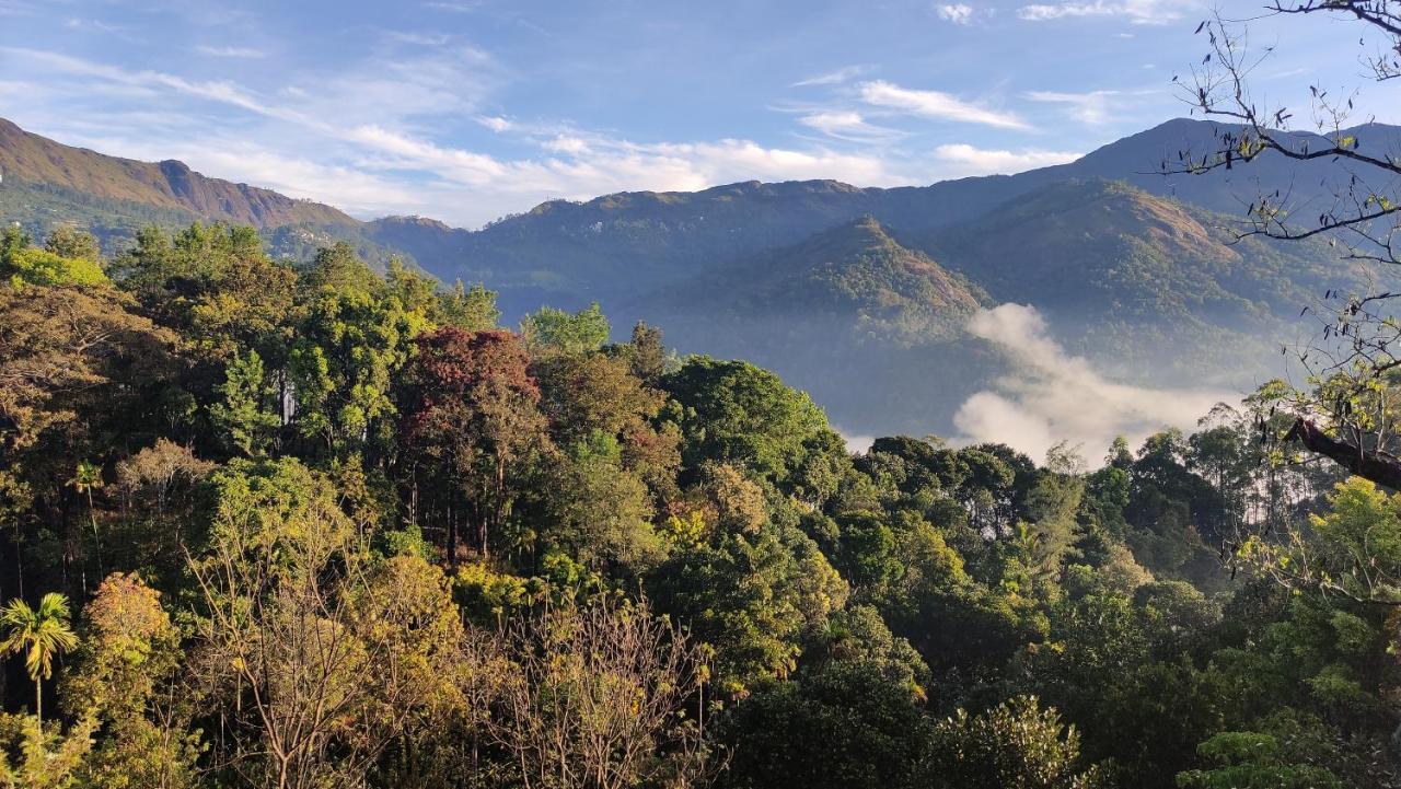 Green Tea View Munnar Extérieur photo